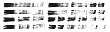 Flat Fan Brush Regular Straight Lines High Detail Abstract Vector Background MEGA Set 