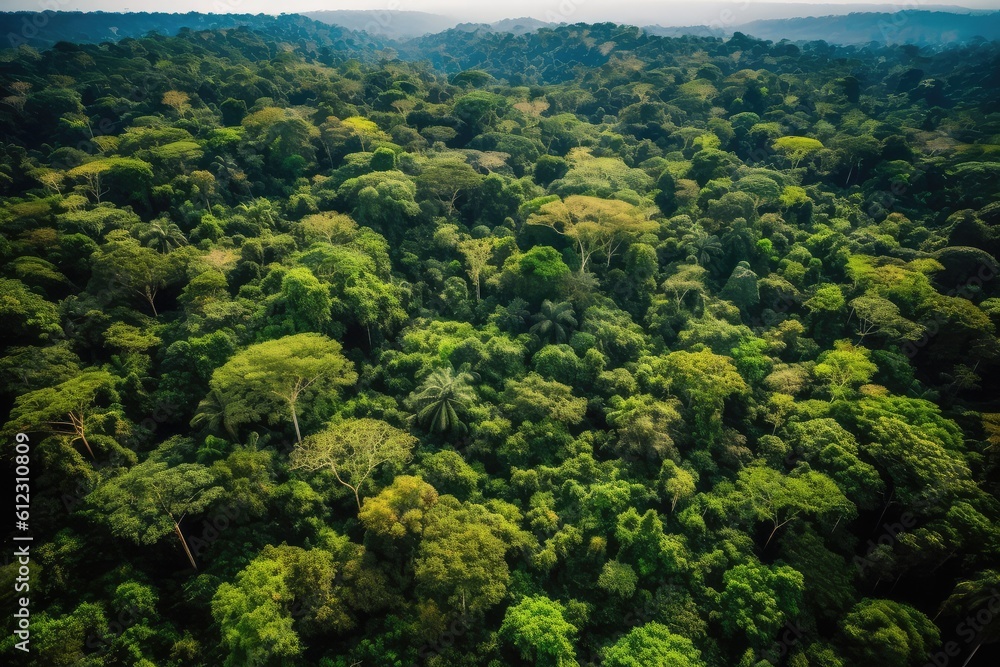 Aerial view of green tropical forest. Beautiful nature landscape background. generative AI