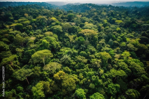 Aerial view of green tropical forest. Beautiful nature landscape background. generative AI © matteo