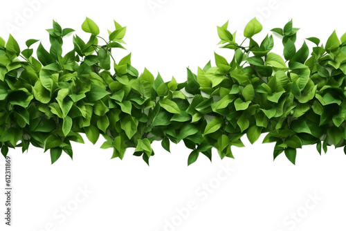 Green Leaves Border Illustration of Lush Foliage Isolated on Transparent Background, Generative AI