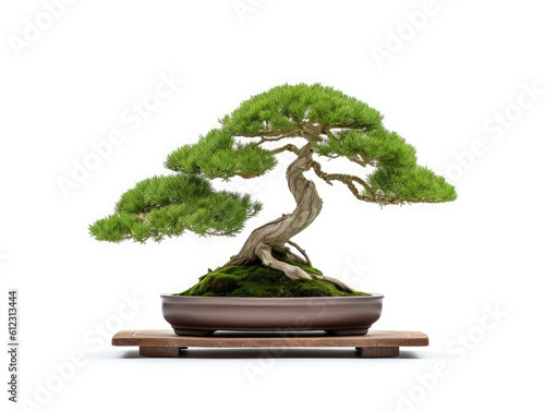 Generative ai illustration of bonsai tree in ceramic pot on white background