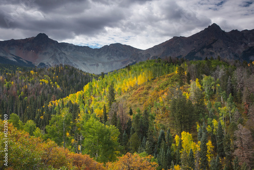 Green yellow autumn trees on mountain hillside, West Fork Dallas Creek, Colorado, United States