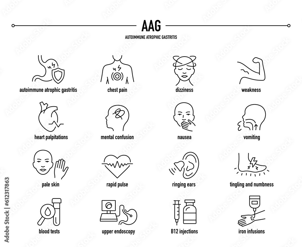 AAG, Autoimmune Atrophic Gastritis symptoms, diagnostic and treatment vector icon set. Line editable medical icons.