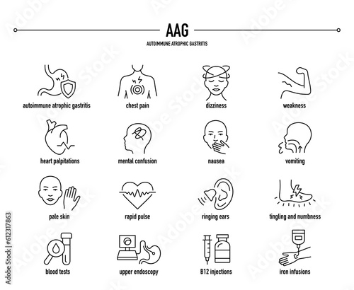 AAG, Autoimmune Atrophic Gastritis symptoms, diagnostic and treatment vector icon set. Line editable medical icons.