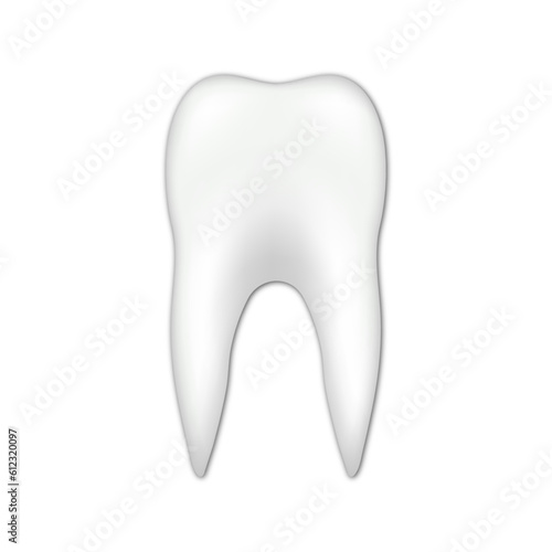 Vector realistic tooth icon illustration