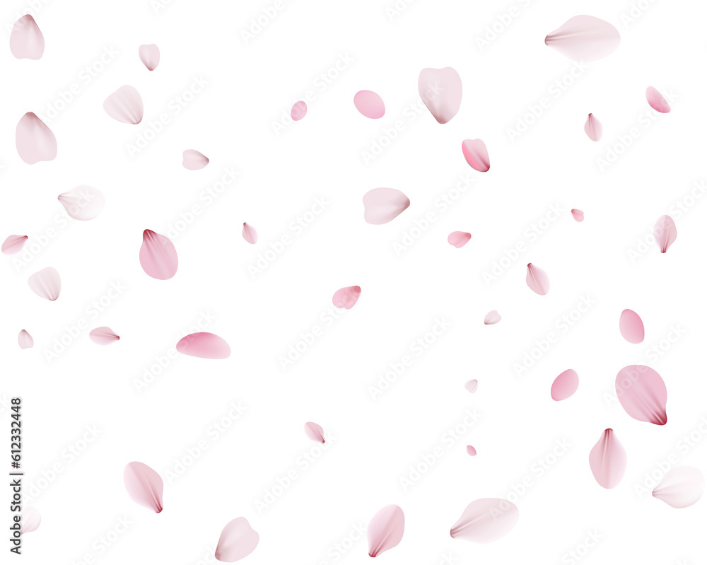 Flying Spring Cherry. Flying Spring Cherry.