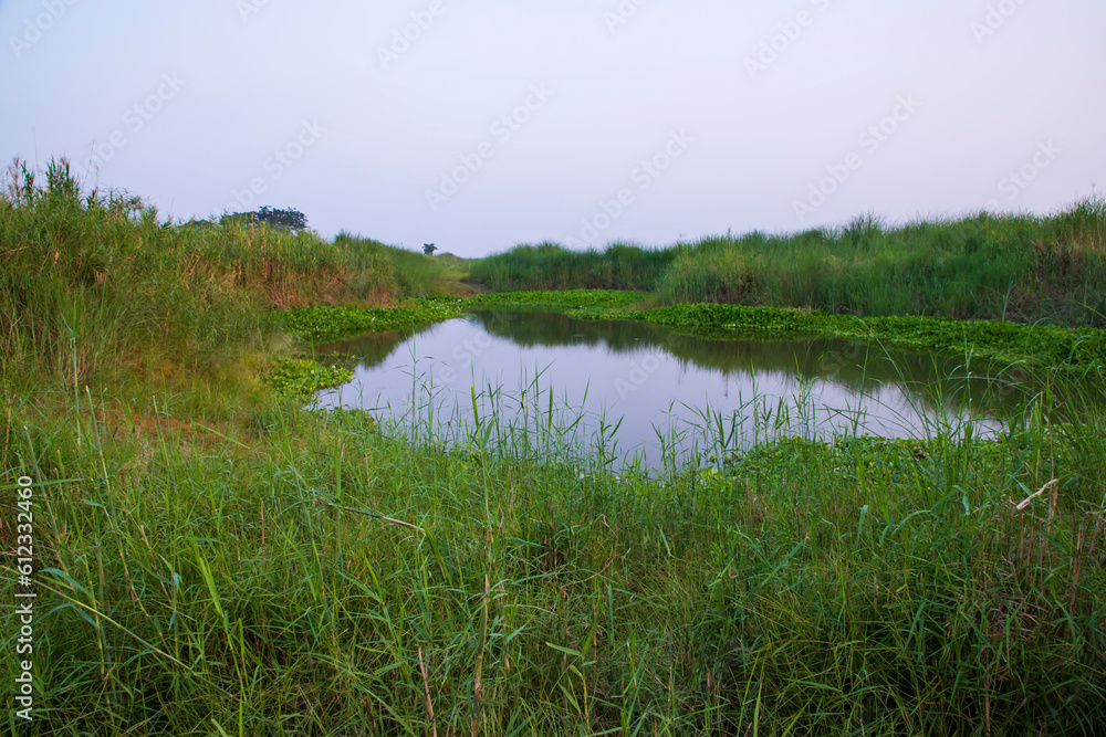 Lake water with green grass landscape view of under the blue sky