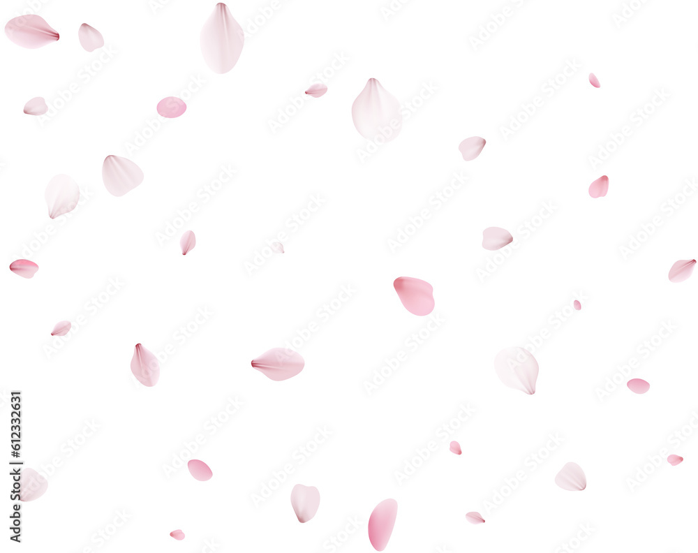 Flying Spring Cherry. Flying Spring Cherry.