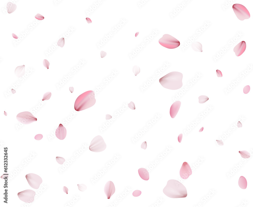 Flying Spring Cherry. Flying Spring Cherry.