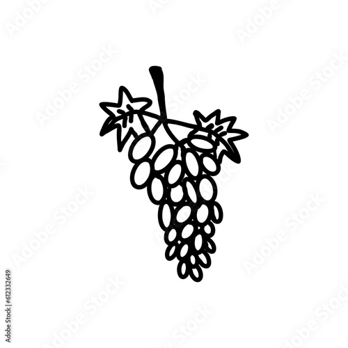grapes, a sketch of a vector drawing, isolated on a white background. a collection of berries