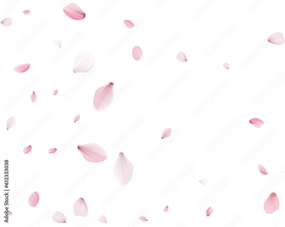 Flying Spring Cherry. Flying Spring Cherry.