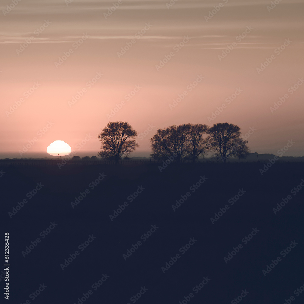 Rural sunset landscape, Buenos Aires province , Argentina