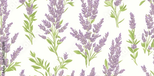 Sprigs of lavender on a white background.