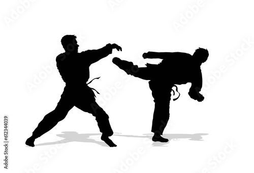 two martial arts sportsmen are fighting on a white background