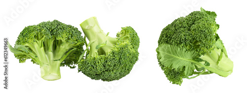 fresh broccoli isolated on white background close-up with full depth of field.