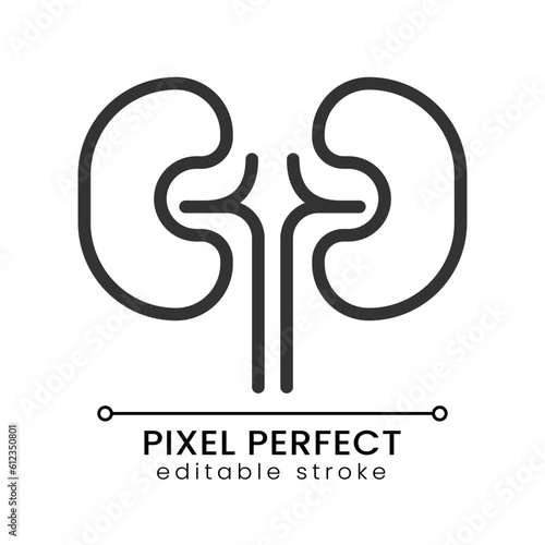 Kidneys pixel perfect linear icon. Urinary system checkup. Organ transplantation. Medical checkup. Thin line illustration. Contour symbol. Vector outline drawing. Editable stroke. Poppins font used
