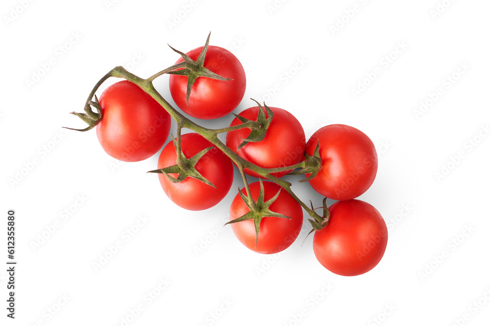 A bunch of ripe juicy red tomatoes on the vine isolated against a transparent background - obrazy, fototapety, plakaty 