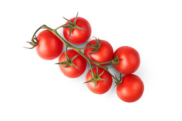 A bunch of ripe juicy red tomatoes on the vine isolated against a transparent background