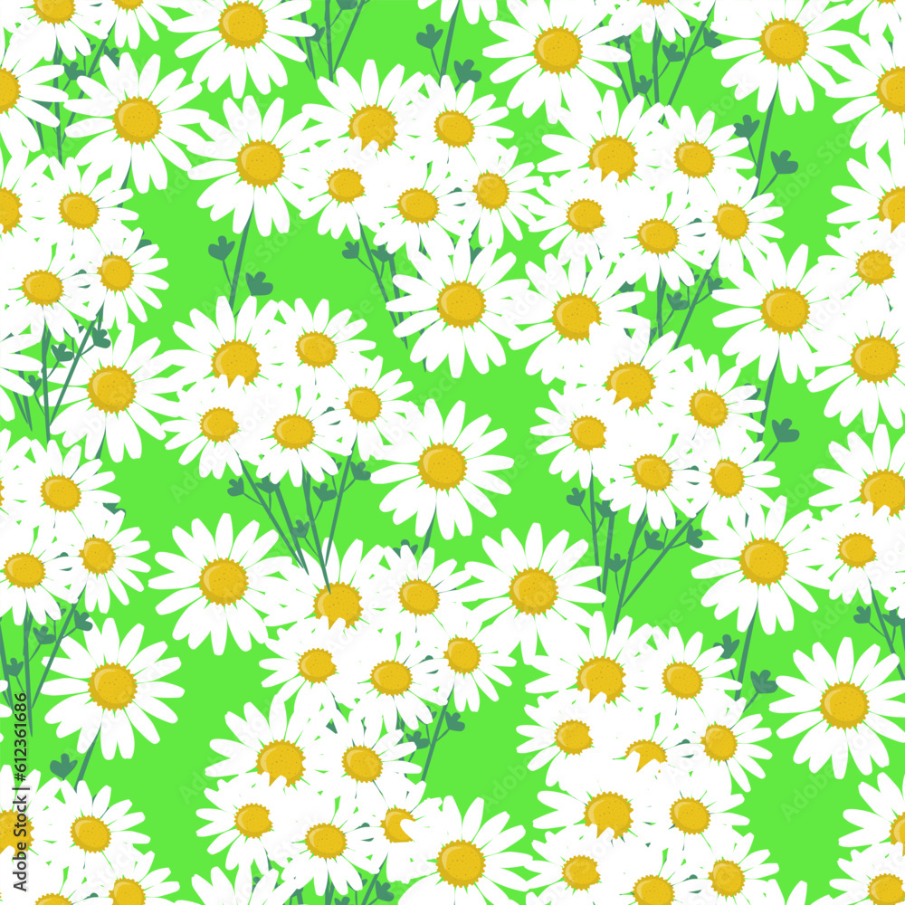 Beautiful white daisy, vector illustration, seamless pattern Beautiful white daisy, vector illustration, seamless pattern
