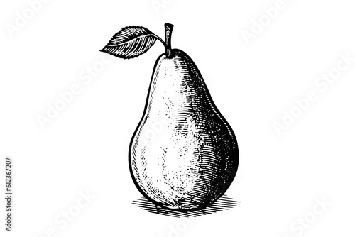 Pear. Ink sketch isolated on white background. Hand drawn vector illustration.