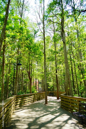 ORLANDO  FL  USA - 05 13  2023  The University of Central Florida landscape