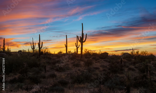 Arizona Desert Sunset Landscape With Cactus Silhouette On Ridge