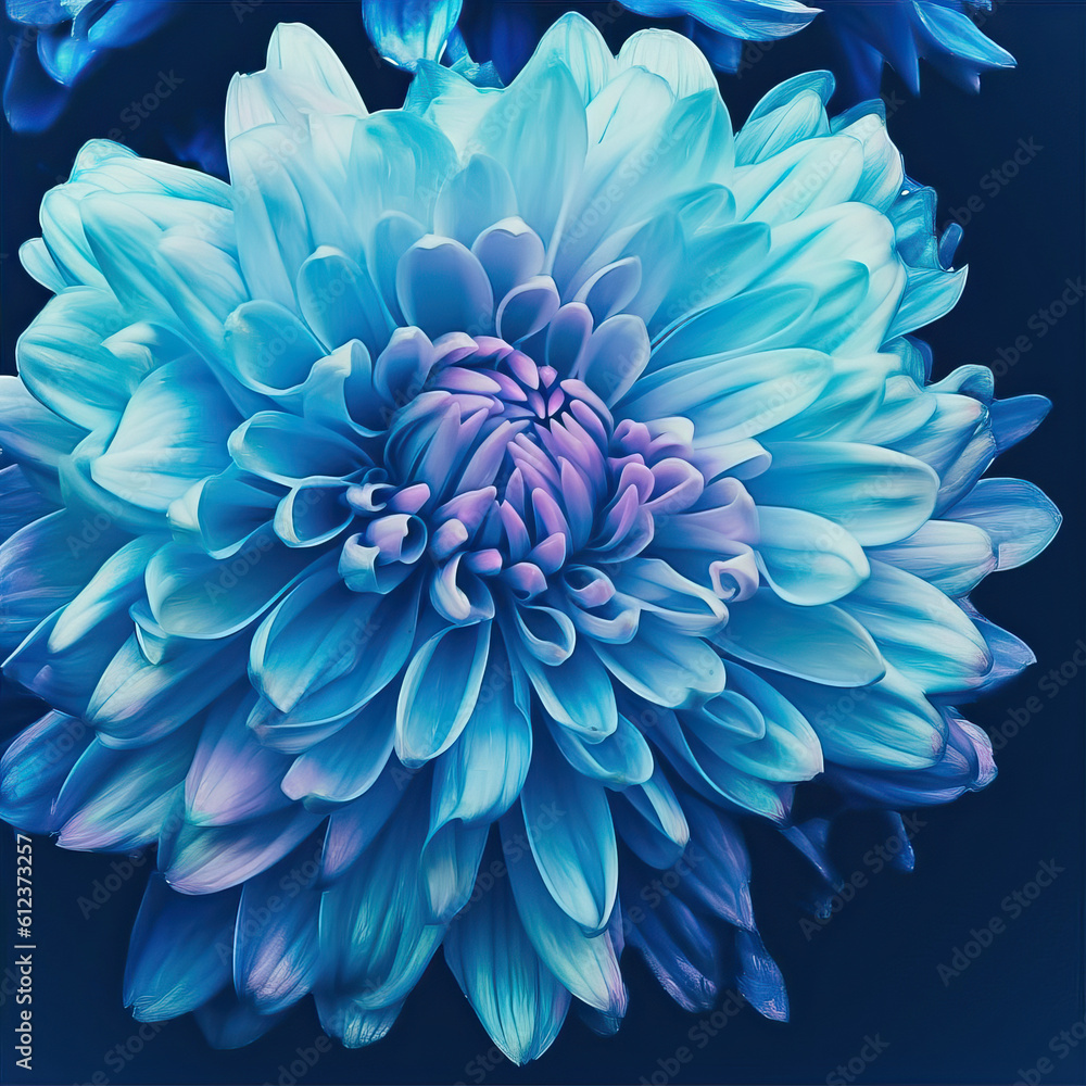 blue and white dahlia flower,abstract blue flower,Flower photography, flower close-ups blue and white dahlia flower,abstract blue flower,Flower photography, flower close-ups