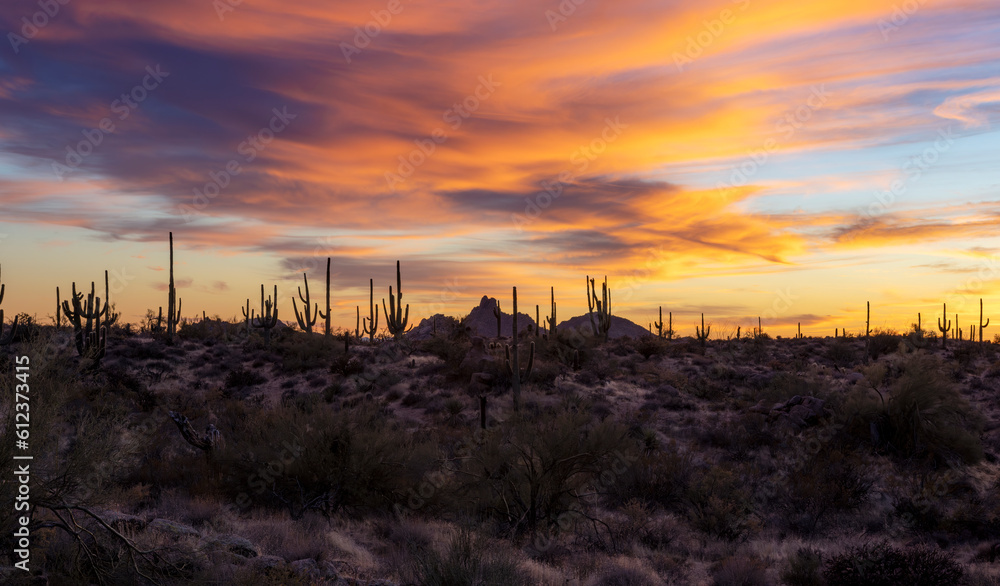 Scottsdale AZ Desert Sunset Landscape With Pinnacle Peak