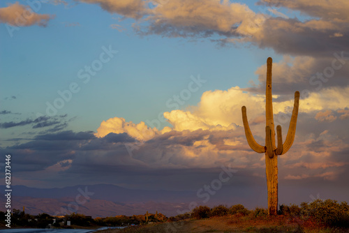 Lone Saguaro Cactus In Arizona With Storm Clouds & Mountains In Background