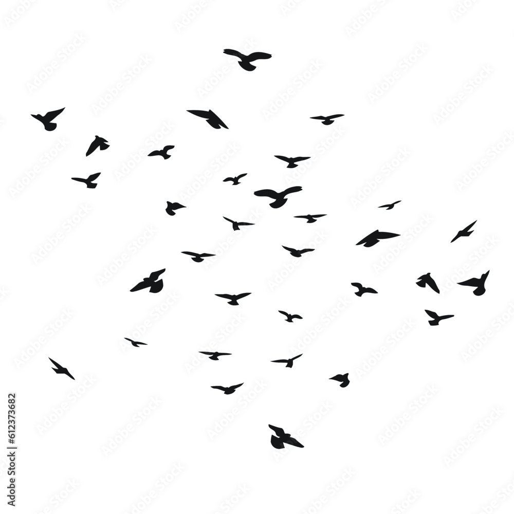 Silhouette sketch of a flock of flying birds, flight in different positions. Takeoff, flying, flight, flutter, hover, soaring, landing Silhouette sketch of a flock of flying birds, flight in different positions. Takeoff, flying, flight, flutter, hover, soaring, landing