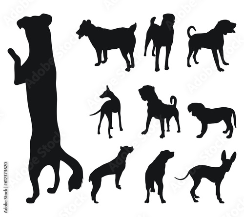 Sketch of black silhouettes of dogs in poses. Outline of pets go, standing, running, jumping, training, walking, guarding, posing, play, showing