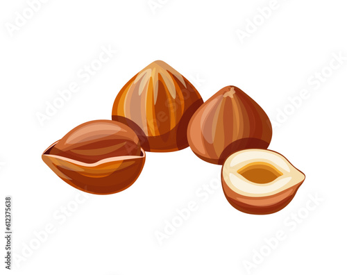 Hazelnut isolated on white background. Vector illustration of a tasty handful
 peeled and whole hazelnuts in cartoon style. Hazel icon. Healthy, organic snacks.