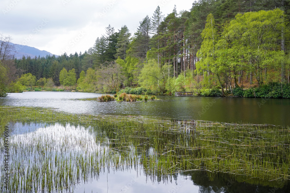 Glencoe Lochan in the Scottish highlands. A Lochan is a small Scottish lake.	