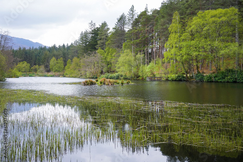Glencoe Lochan in the Scottish highlands. A Lochan is a small Scottish lake. 