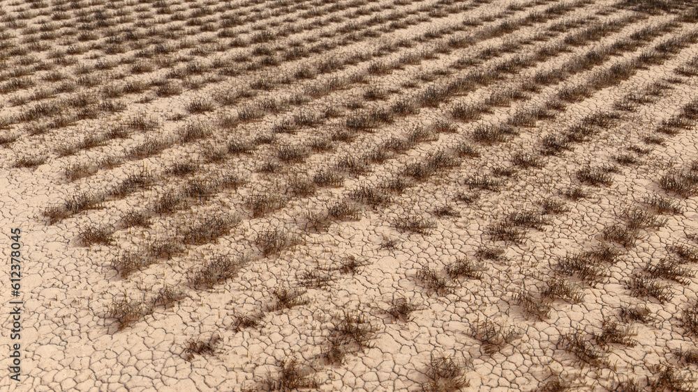 Dead wheat field aerial view. Realistic 3d render. Soil depletion, drought, crop failure, environmental disaster concept visualization Dead wheat field aerial view. Realistic 3d render. Soil depletion, drought, crop failure, environmental disaster concept visualization