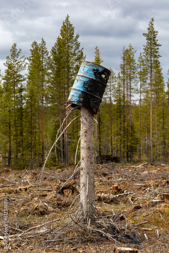 Boliden, Sweden An oil barrel is placed on top of a felled tree in the woods. photo