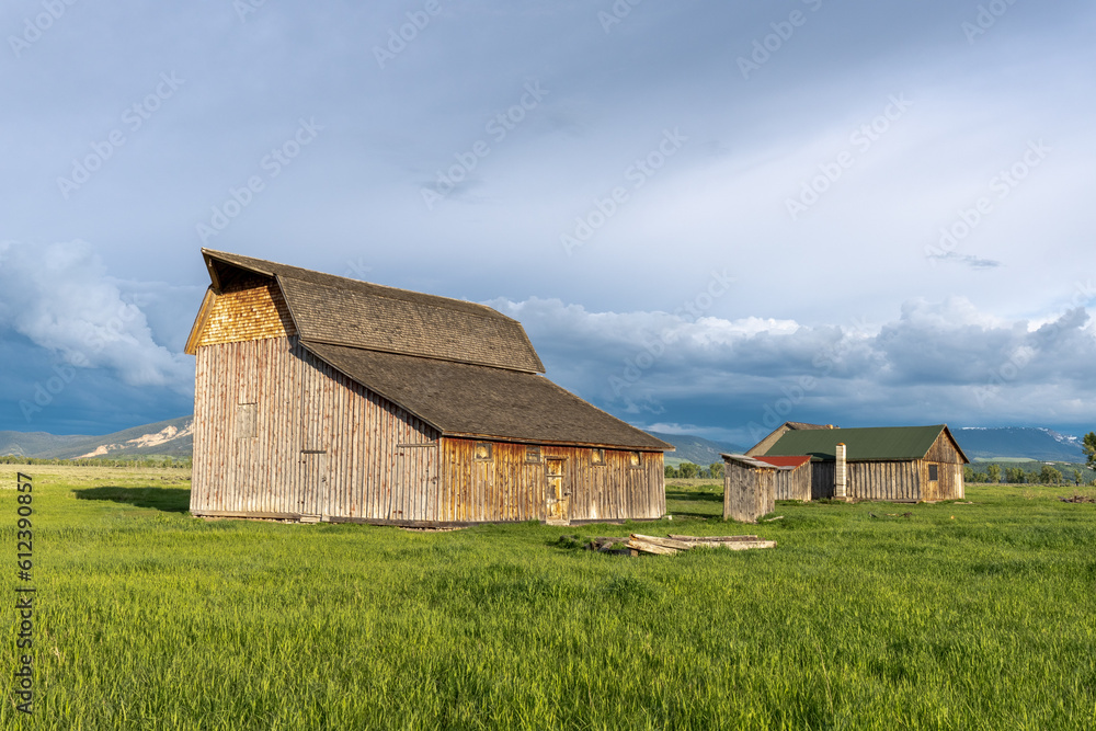 A large wood frame gambler barn and various farm buildings in a field of green grass and mountains in the background, Thomas Murphy Barn, Mormon Row, Grand Tetons National Park, Wyoming