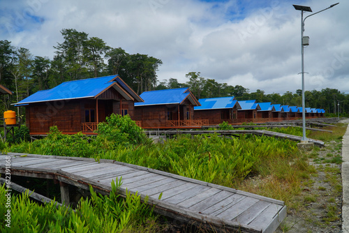 New wooden houses built by the government for residents with a backdrop of still dense forest © John kuba