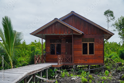 New house made of boards and tin roof in village with natural green yard