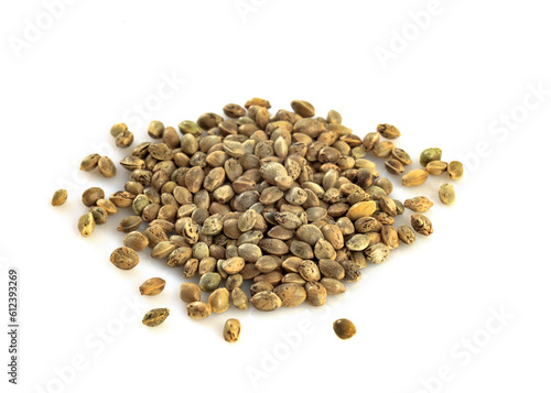 Cannabis seeds on a white background macro. Cannabis Hemp seeds close up. Heap of dry whole seeds for growing microgreens.