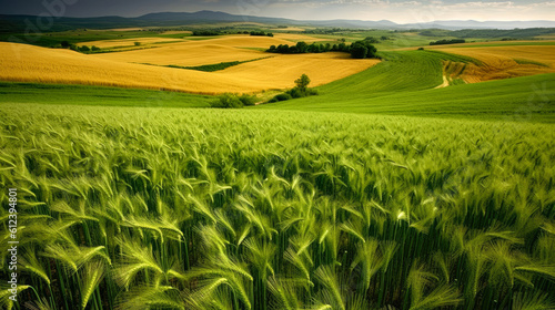 Green wheat field  generative ai