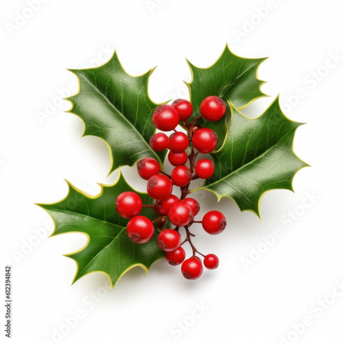 Holly berry with leaves isolated. Illustration AI Generative.