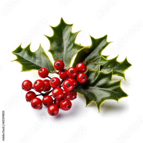Holly berry with leaves isolated. Illustration AI Generative.