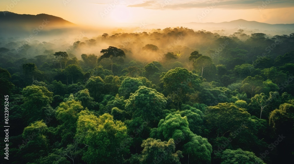 Amazon forest at sunset. Generative AI