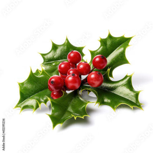 Holly berry with leaves isolated. Illustration AI Generative.