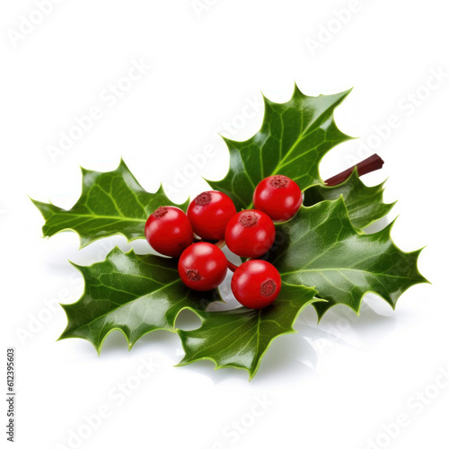 Holly berry with leaves isolated. Illustration AI Generative.