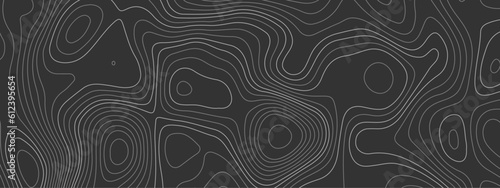 Black and white wavy paper curve relief abstract topographic map background. Geographic mountain relief. Topographic map lines, contour background. Abstract wave lines background.