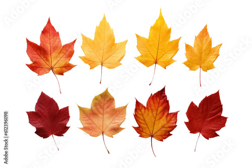 collection of beautiful colorful autumn leaves on white background, AI