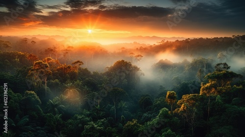 Amazon forest at sunset. Generative AI photo