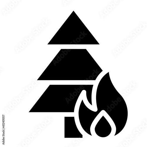 fire  wildfire disaster